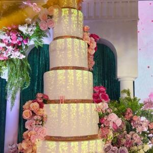 The Complete Cake Mapping Experience