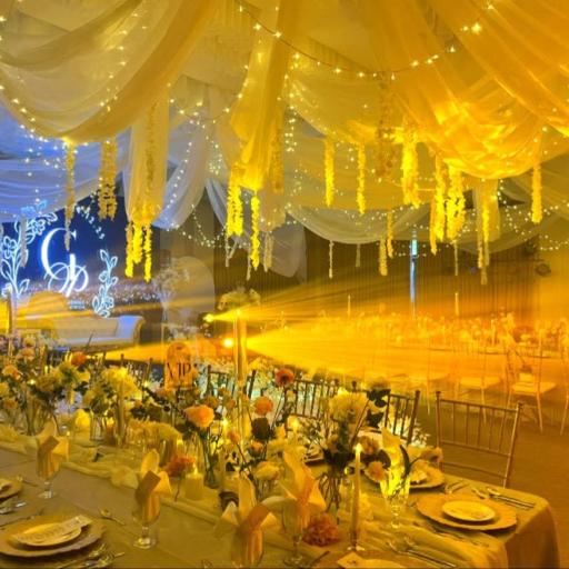 Elegant Ceiling Treatment