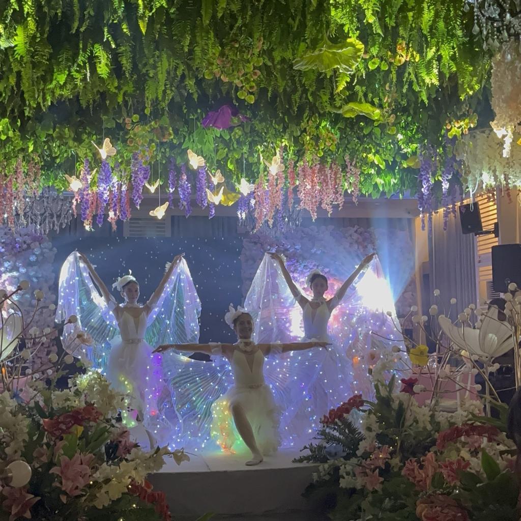 Led Ballerinas