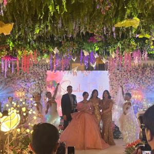 Led Ballerinas