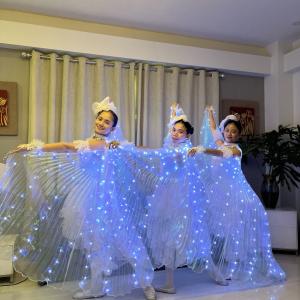 Led Ballerinas