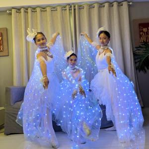 Led Ballerinas